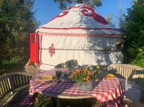 Traditional YURT @ Longleat